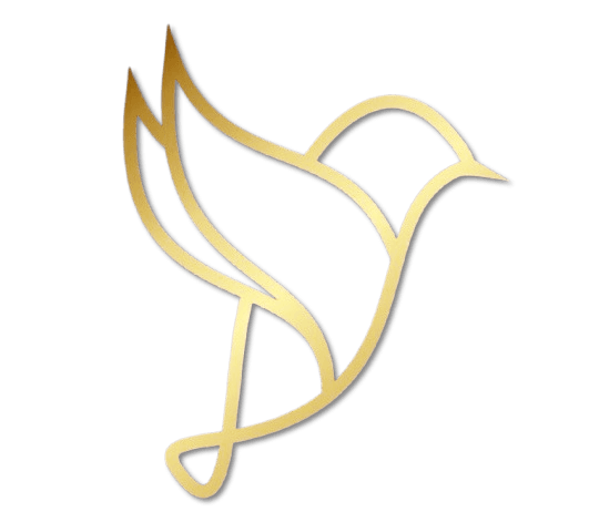 Фото туру Уууууууулетаю на гаити